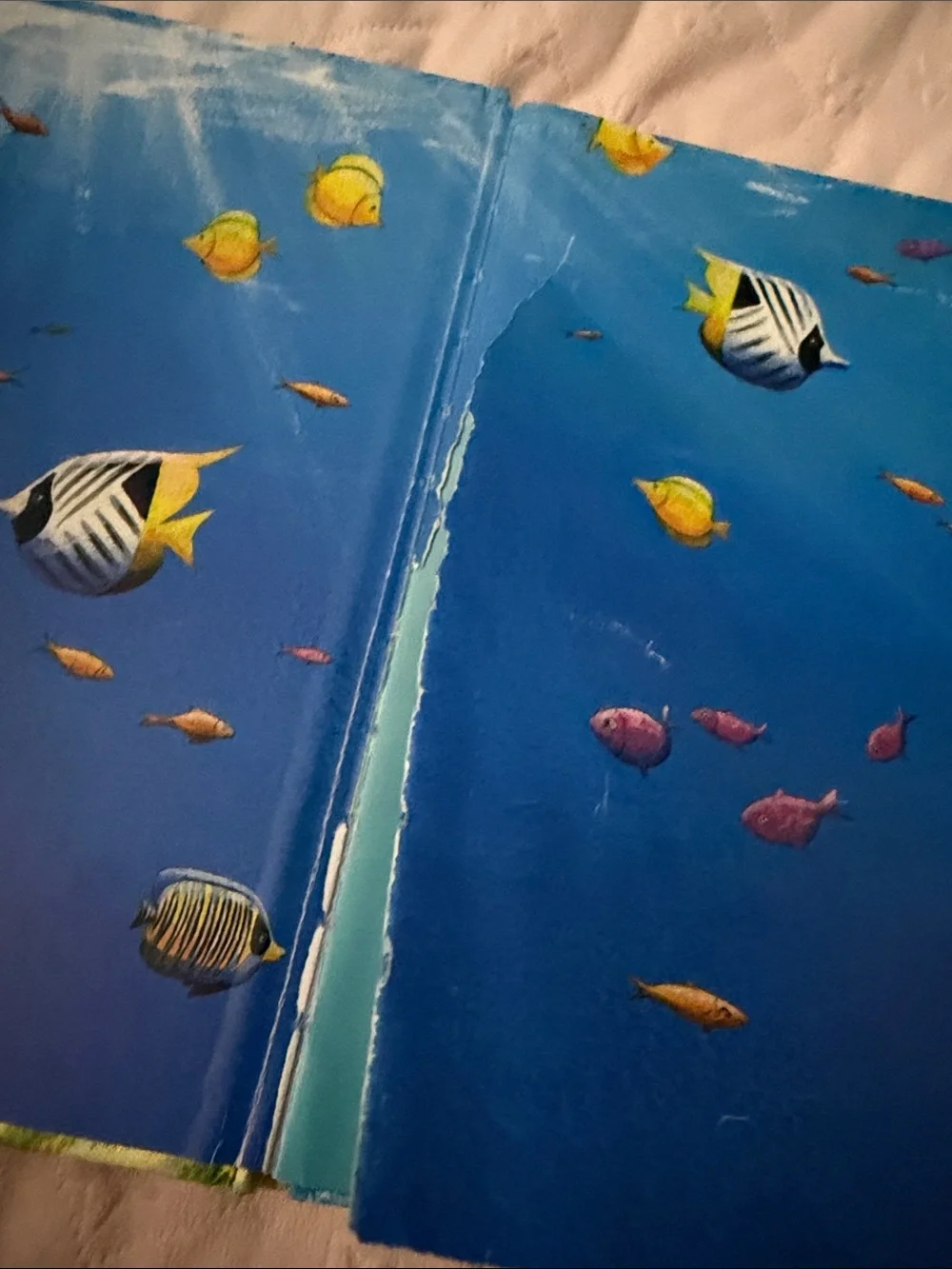 Blue and Green Kids Toy Book Cover - Under the Sea